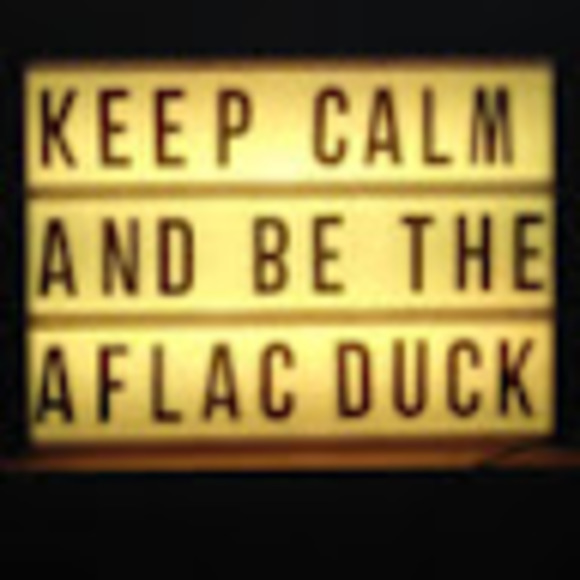 Meet your Posher, Brynn - Picture 1 of 1